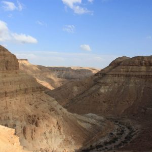 Gorges Ein Avdat (1)