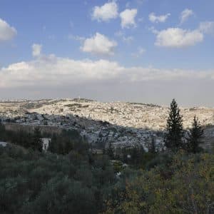 paysage de Judée (1)