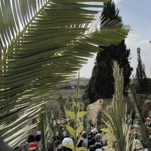 procession des rameaux (1)