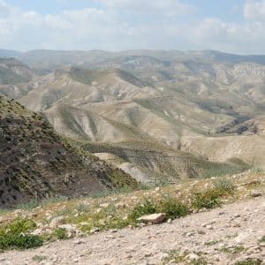 wadi 1 (1)