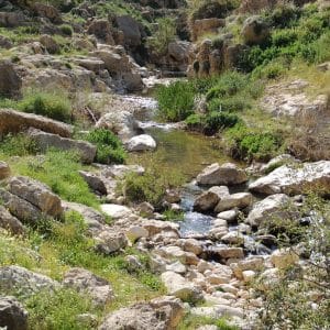 wadi 2 (1)