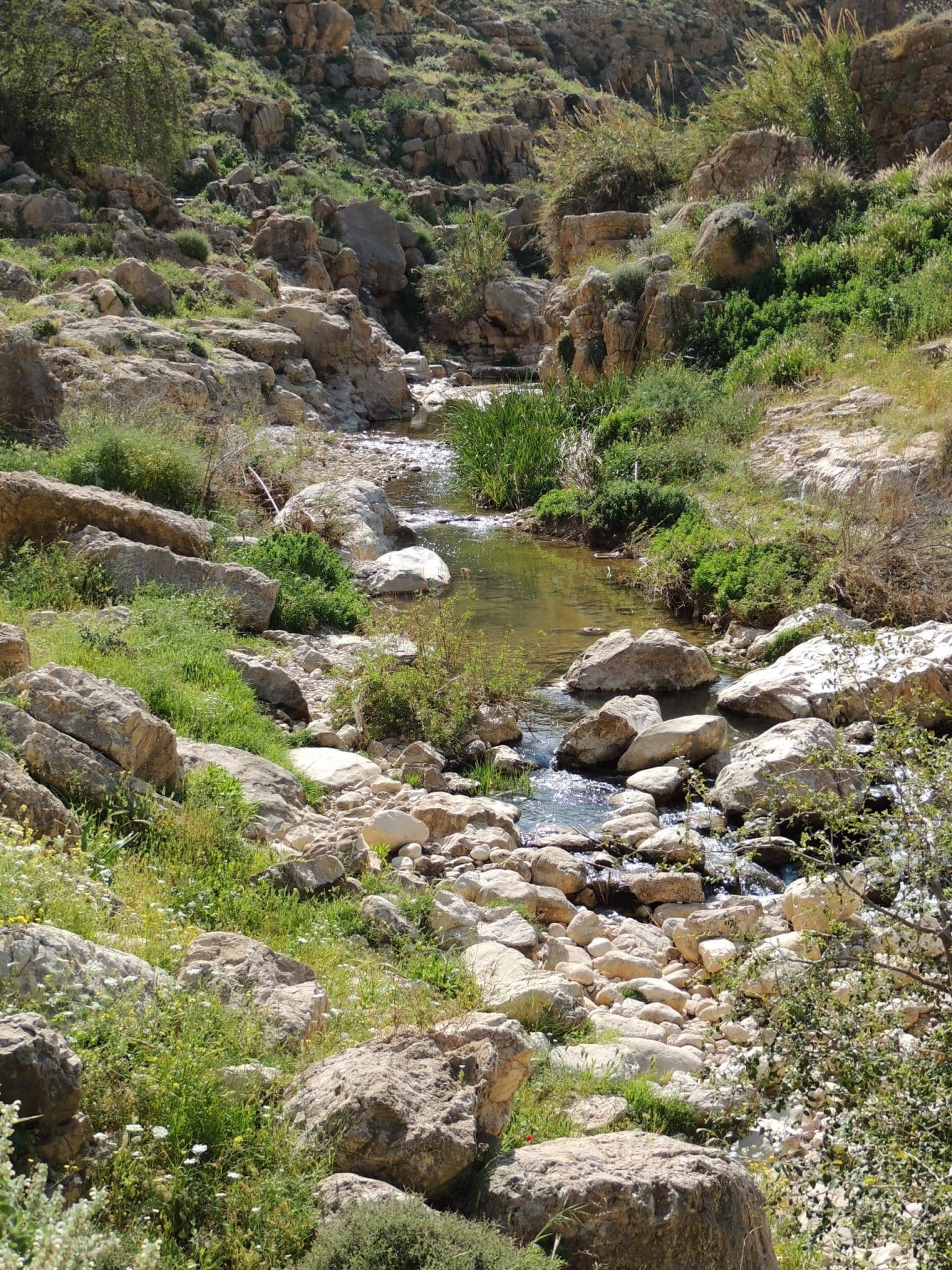 wadi 2 (1)