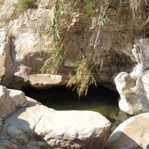 wadi 3 (1)