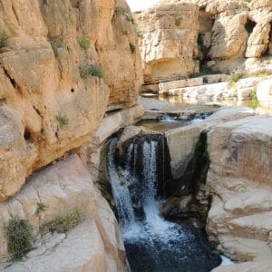 wadi 4 (1)